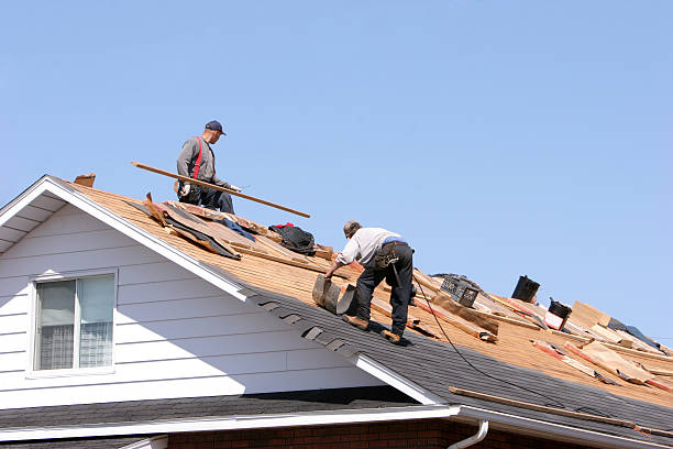 Best Cold Roofs  in Allendale, SC